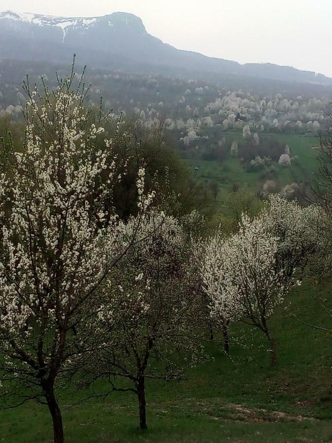 Complex Traditional Casuta Bunicilor-Breb المظهر الخارجي الصورة